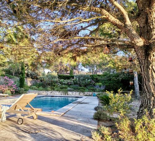 une piscine avec un banc à côté d'un arbre dans l'établissement À pied centre village, studio cosy piscine, à Saint-Rémy-de-Provence