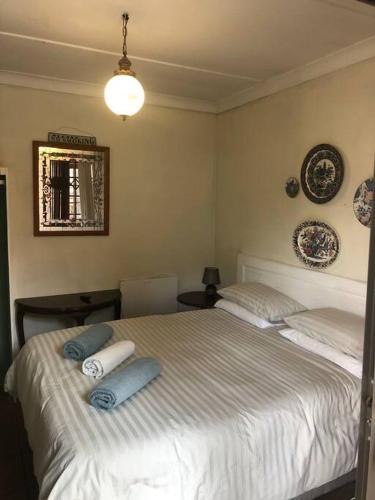 um quarto com uma cama com duas almofadas em Garden Room At Schilbach House em Parys