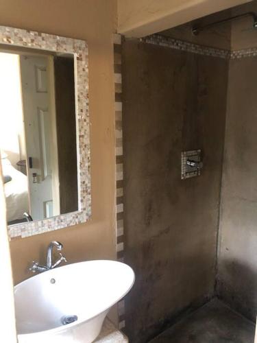 uma casa de banho com um lavatório, um espelho e um chuveiro em Garden Room At Schilbach House em Parys