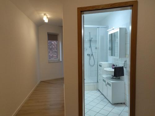 een badkamer met een douche en een wastafel bij Business apartments "An der Lutherkirche" Self-Check-in in Weißenfels