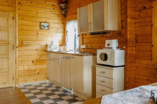 a kitchen with a stove and a microwave in a cabin at Ferienhaus Entner in Mörbisch am See