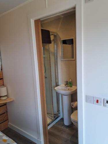 a bathroom with a shower and a toilet and a sink at The Posh Bothy Spean Bridge in Roybridge