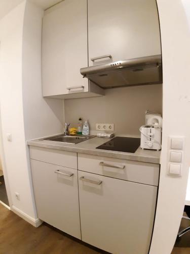 eine weiße Küche mit einer Spüle und einer Theke in der Unterkunft LEA-Apartments Zentrum Ost mit Stellplatz in Leipzig