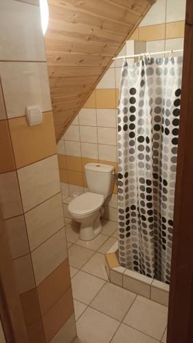 a bathroom with a toilet and a shower at Wynajem pokoi Burniszki in Wiżajny