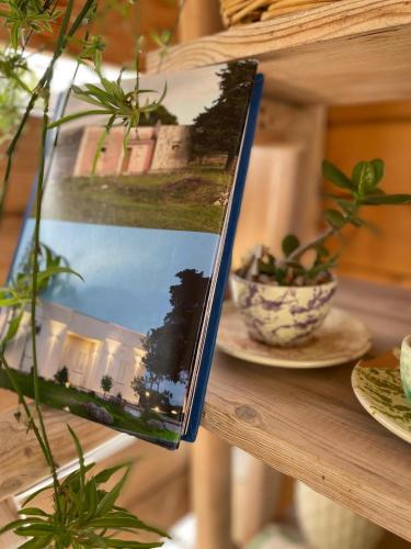 a picture of a book on a table with plants at Le stanze di chiara in Torre Lapillo