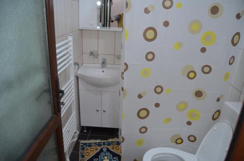 トゥルチャにあるMINERI CAZAREのバスルーム(洗面台、トイレ付)
