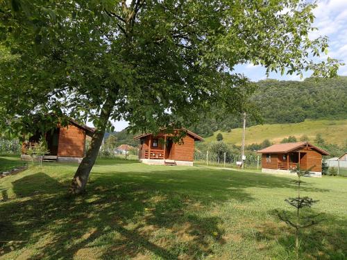 two wooden buildings in a field with a tree at Căsuțe Zăvoi Bulz in Bulz
