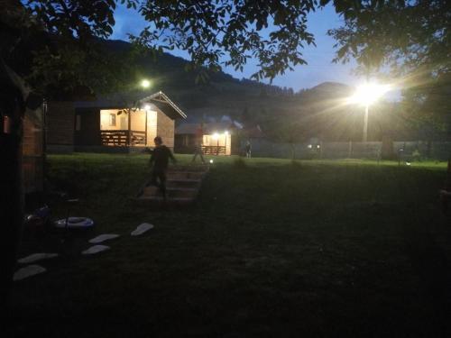 a person walking on steps in a yard at night at Căsuțe Zăvoi Bulz in Bulz