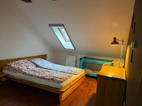 1 dormitorio con 1 cama y tragaluz en Solar Apartman, en Vonyarcvashegy