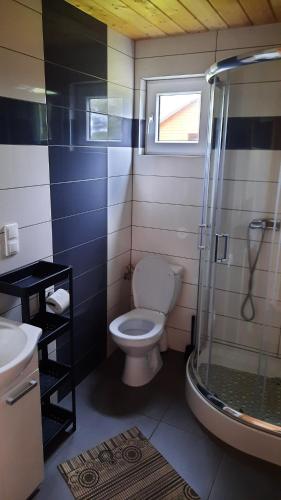 a bathroom with a toilet and a shower at Dolina Rusinowa in Rusinowo