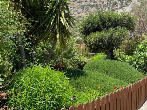 Сад в Villa in Elounda near Sea & Private Pool