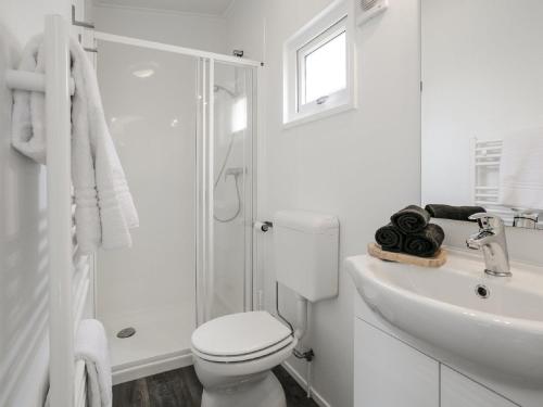 un bagno bianco con un water e un lavandino di Sunlit Chalet by the Pond a Lochem