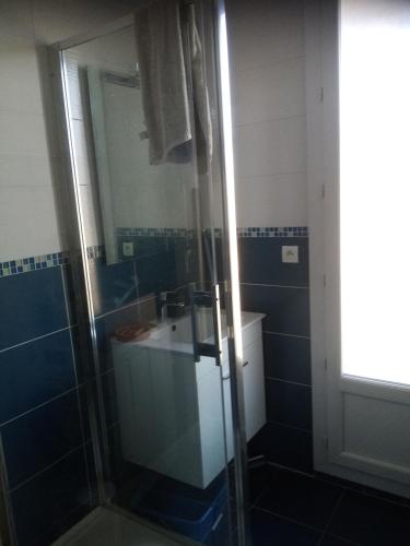 een badkamer met een douche, een wastafel en een spiegel bij Kilian Campus UGA in La Tronche