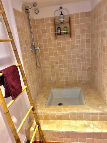 La salle de bains est pourvue d'une douche et d'une baignoire. dans l'établissement Appartement de charme au cœur de Grasse, à Grasse