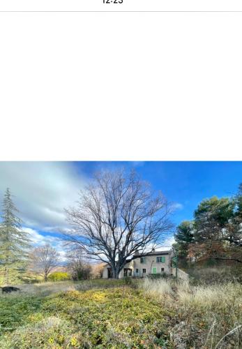 FERME PROVENCALE BARBARIN – Photos 3