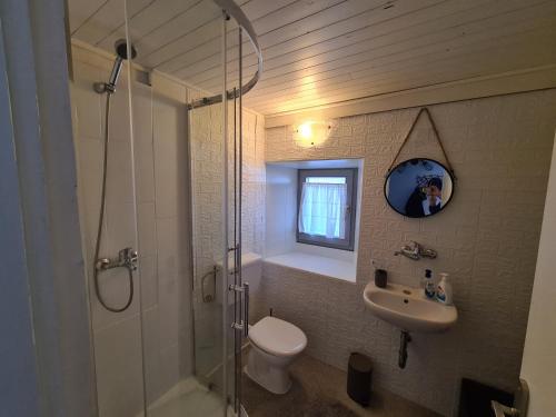 a bathroom with a shower and a toilet and a sink at Amber's Place: cosy house with pool and sea views in Dubravica