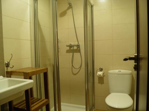 e bagno con doccia, servizi igienici e lavandino. di Apartamentos Turísticos Peñafiel a Peñafiel