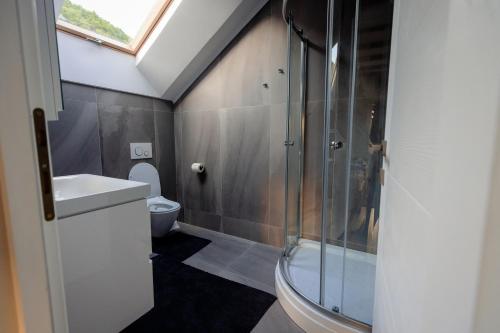 uma casa de banho com um chuveiro, um lavatório e um WC. em Casa Pricop Moroșană em Vadu Izei