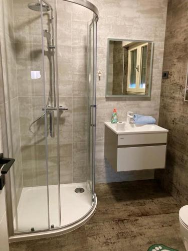 Donji Babići的住宿－Apartment Svila 1，一间带玻璃淋浴和水槽的浴室