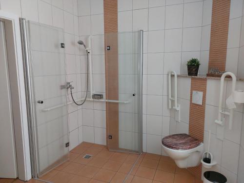 La salle de bains est pourvue d'une douche et de toilettes. dans l'établissement Stilvolle Ferienwohnung im Eichsfeld, à Niederorschel