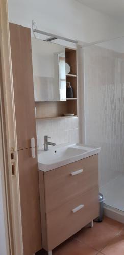 une salle de bain avec un lavabo et une douche dans l'établissement La Pitchounette, à La Colle-sur-Loup