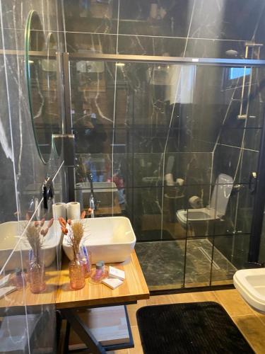 a bathroom with a sink and a glass shower at Ordu Bungalov-Loin du Monde in Perşembe