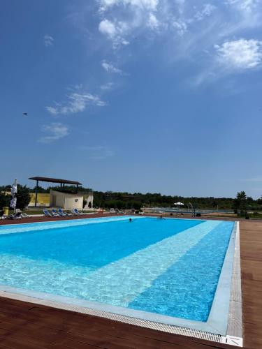 a large swimming pool with blue water at Gabriela Blaxy Apartamente in Olimp
