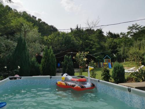 einen Pool mit aufblasbarem Floß im Hinterhof in der Unterkunft Casa Noastra in Orşova