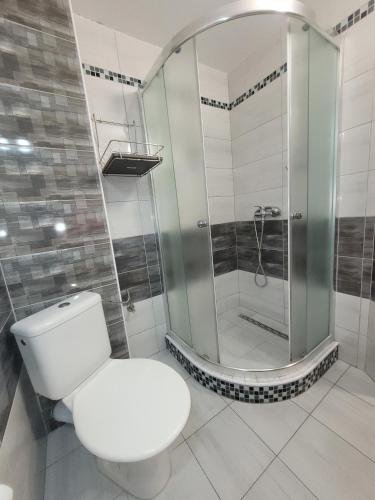a bathroom with a toilet and a shower at Penzión Korzo in Štúrovo