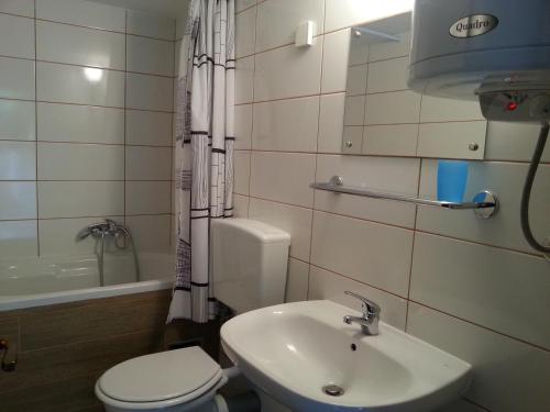 Ένα μπάνιο στο Apartment Drenovica
