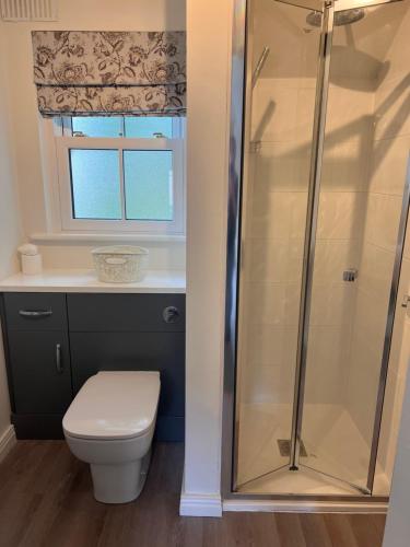 a bathroom with a shower with a toilet and a window at Bunratty Castle Gardens in Bunratty