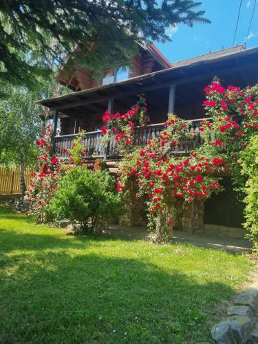 a house with red flowers in the yard at Cabana Haiducului in Soveja
