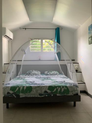 un letto con baldacchino in vetro in una stanza di Gwada Siéva a Baie-Mahault