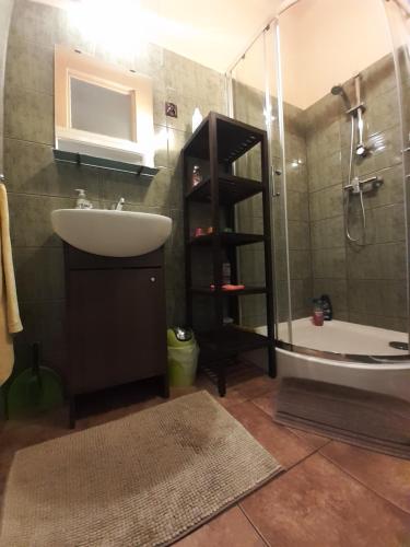 La salle de bains est pourvue d'un lavabo et d'une douche. dans l'établissement Animrumru, à Varsovie