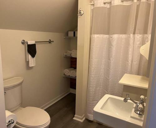 a bathroom with a toilet and a sink and a shower at The Loft at Little Bear in Frankfort