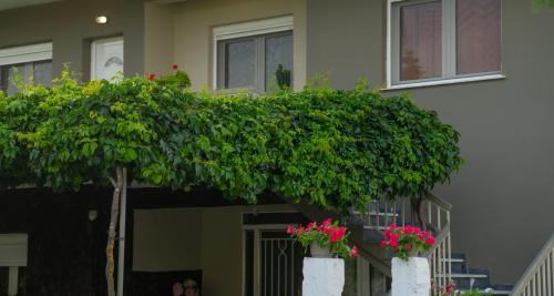 Κήπος έξω από το Xrysa's House