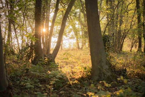 Naturlandschaft in der Nähe der Zelt-Lodge