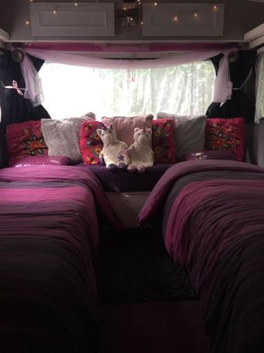 two dogs sitting on a bed in a bus at little vintage caravan with cosy log burner in Canterbury