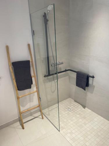 uma cabina de duche com uma porta de vidro na casa de banho em Domaine des diamants blancs de Bondues em Bondues
