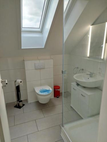 een badkamer met een toilet, een wastafel en een dakraam bij Landhaus Luttum in Kirchlinteln