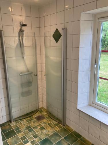 La salle de bains est pourvue d'une douche avec une porte en verre. dans l'établissement Fogelbergs EsE, à Tofta