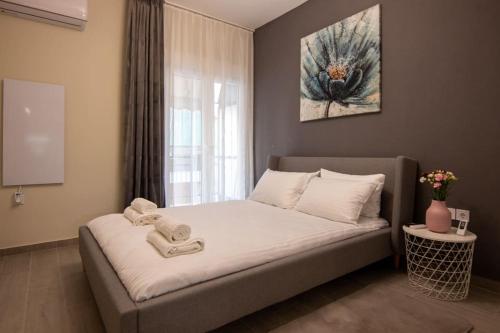 Luxury 2 bedroom apt in Athens center