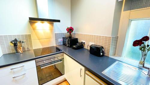 a kitchen with a sink and a counter top at Catcune Studio Suite in Gorebridge