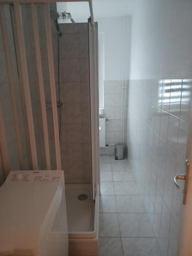 een badkamer met een douche en een tegelvloer bij FeWo s Runde Wiese LL in Greifswald