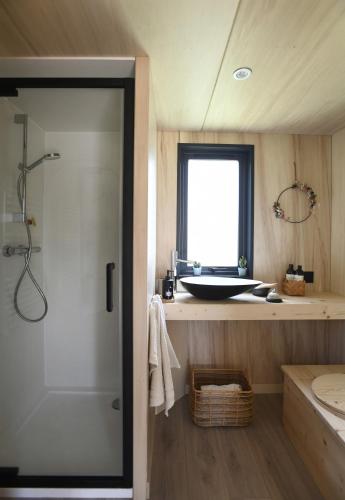 une salle de bain avec douche et lavabo dans l'établissement La tiny house de la Blandinière, à Vertou