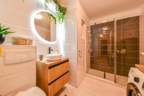 La salle de bains est pourvue d'une douche et d'un lavabo. dans l'établissement My Place Dorobantilor, à Cluj-Napoca