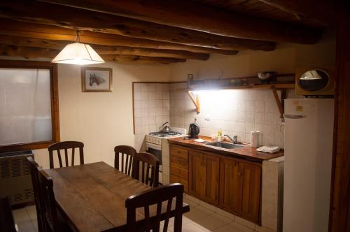 eine Küche mit einem Tisch, einer Spüle und einem Kühlschrank in der Unterkunft Pura Patagonia in Villa La Angostura
