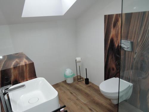 a bathroom with a toilet and a sink at Apartment in Miedzywodzie near Baltic Beach in Międzywodzie