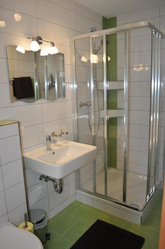 a bathroom with a sink and a shower at Haashof in Vordergöriach