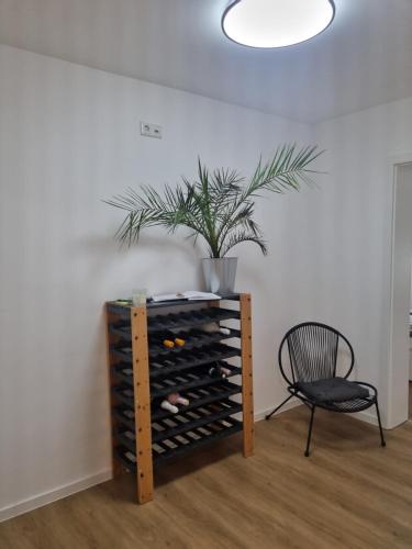 roślina doniczkowa siedząca na stojaku na wino w obiekcie ~Ferienwohnung Sandhausen / HD~ w mieście Sandhausen